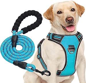 haapaw Arnés para Perro sin Tirar-Compra-Online